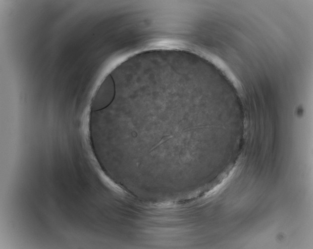 X0000102541421200808151632