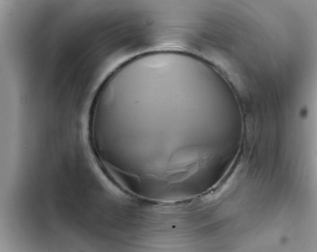X0000102541422200808151632