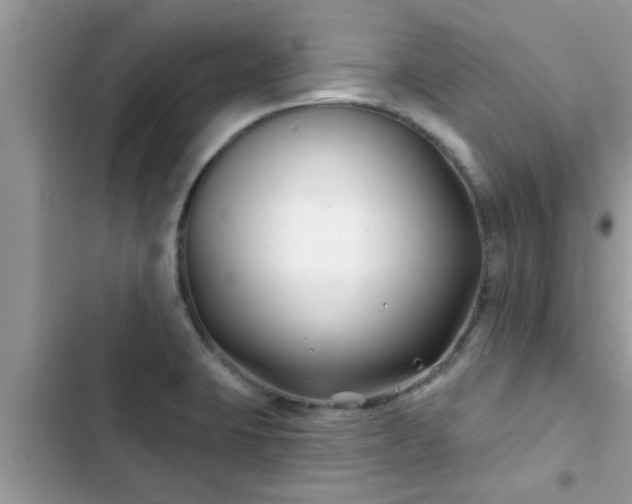 X0000102541423200808151632