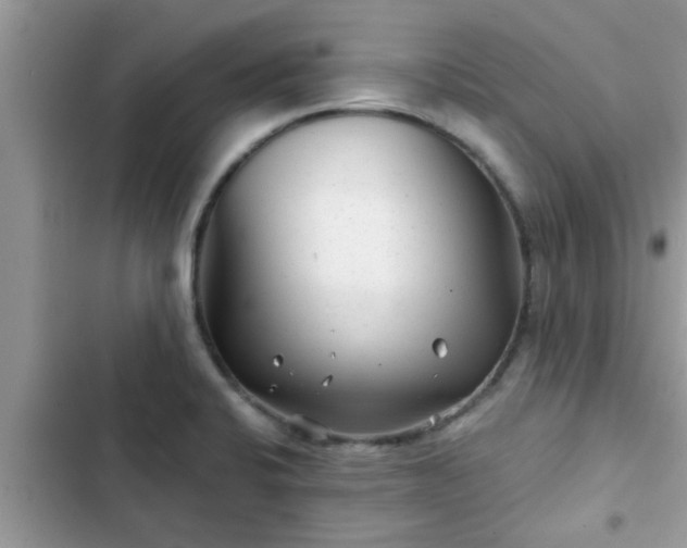 X0000102541424200808151632