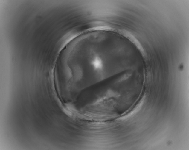 X0000102541425200808151632