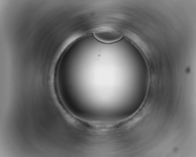X0000102541426200808151632