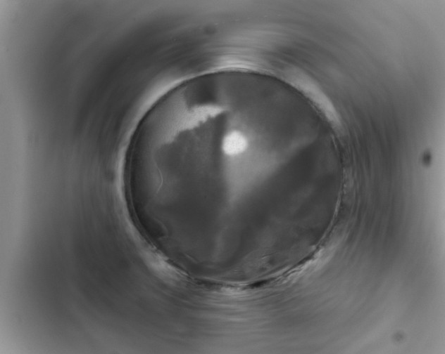X0000102541427200808151632