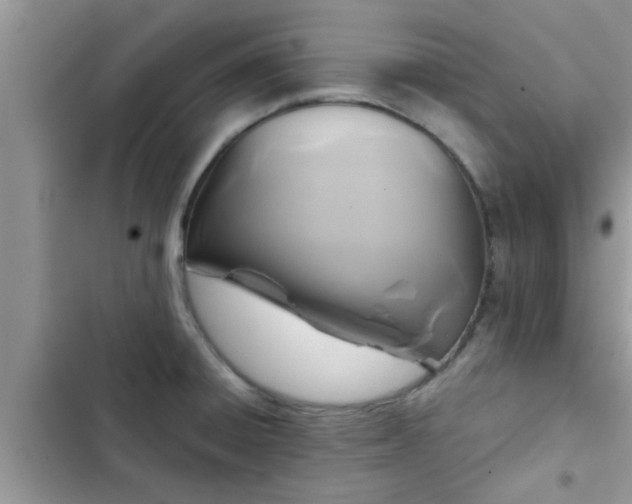 X0000102541428200808151632