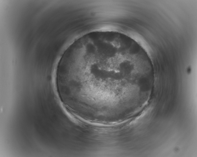 X0000102541429200808151632