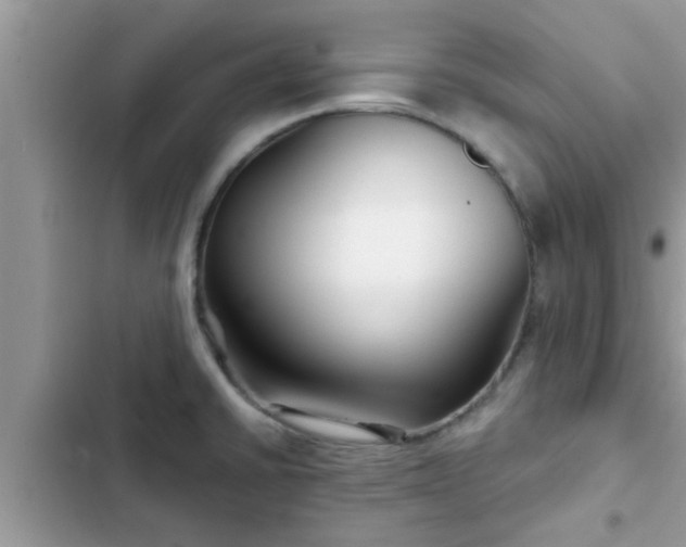 X0000102541430200808151632