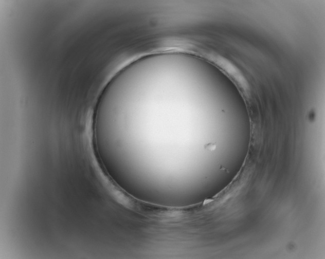 X0000102541431200808151632