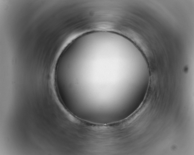 X0000102541432200808151632