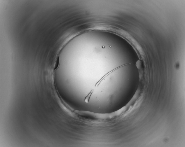 X0000102541433200808151632