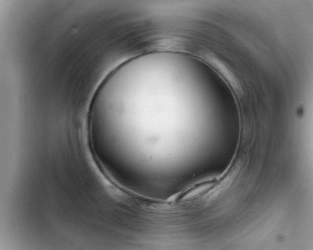 X0000102541434200808151632