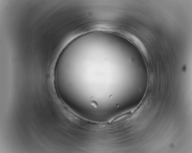 X0000102541435200808151632