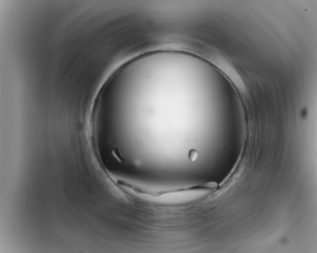 X0000102541436200808151632