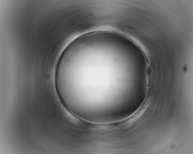 X0000102541438200808151632