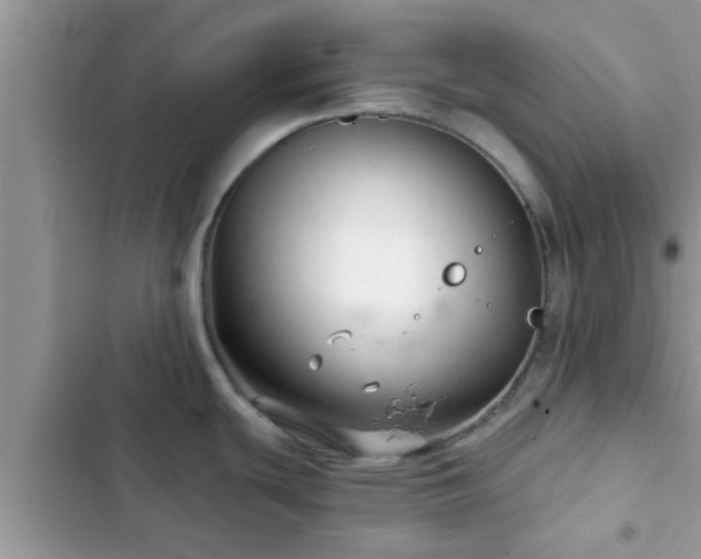 X0000102541439200808151632