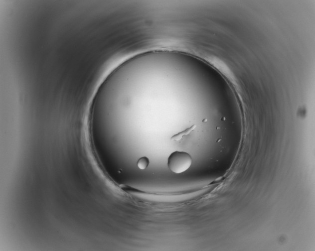 X0000102541440200808151632