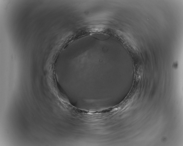 X0000102541441200808151631