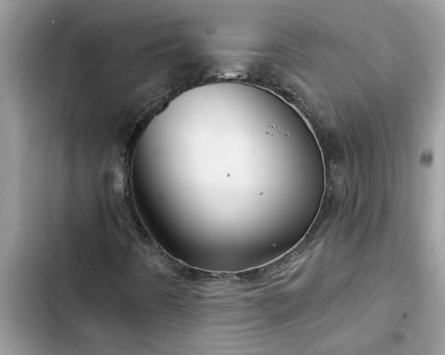 X0000102541442200808151631