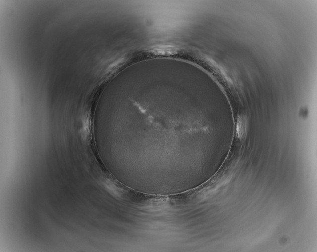 X0000102541444200808151631