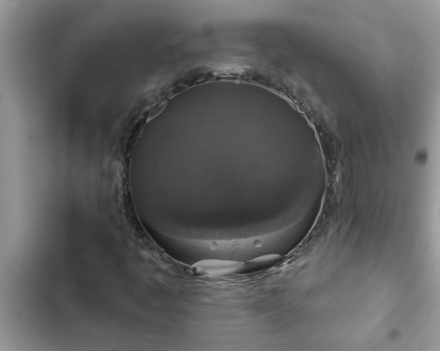 X0000102541445200808151631