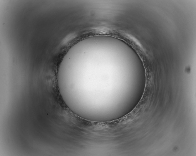X0000102541446200808151631