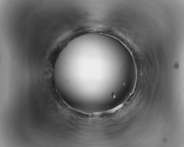 X0000102541447200808151631