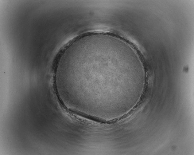 X0000102541448200808151631