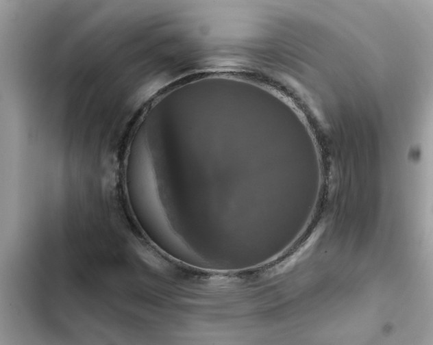 X0000102541449200808151631