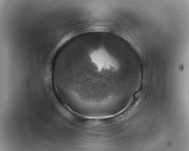 X0000102541450200808151631