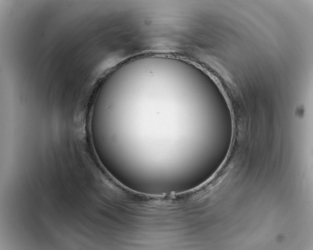 X0000102541451200808151631