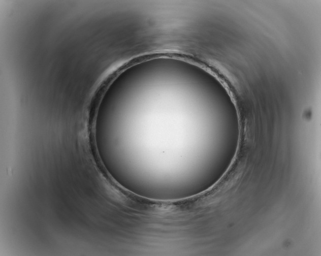 X0000102541452200808151631