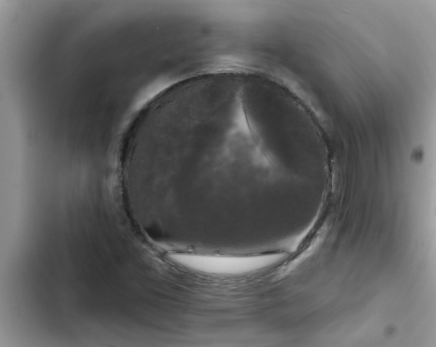 X0000102541453200808151631