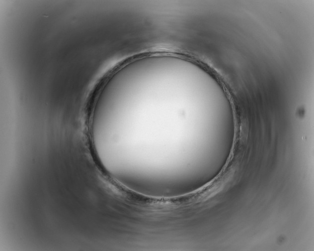 X0000102541454200808151631