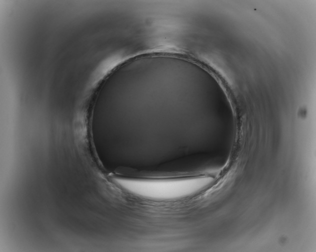 X0000102541455200808151631