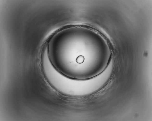 X0000102541456200808151631