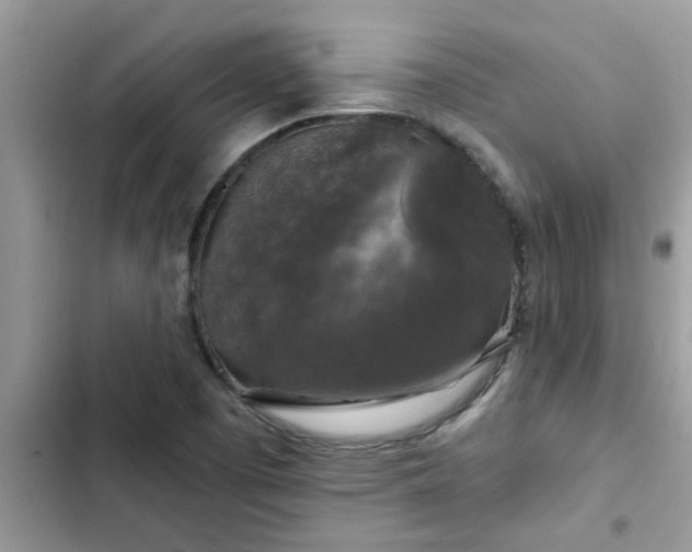 X0000102541457200808151631