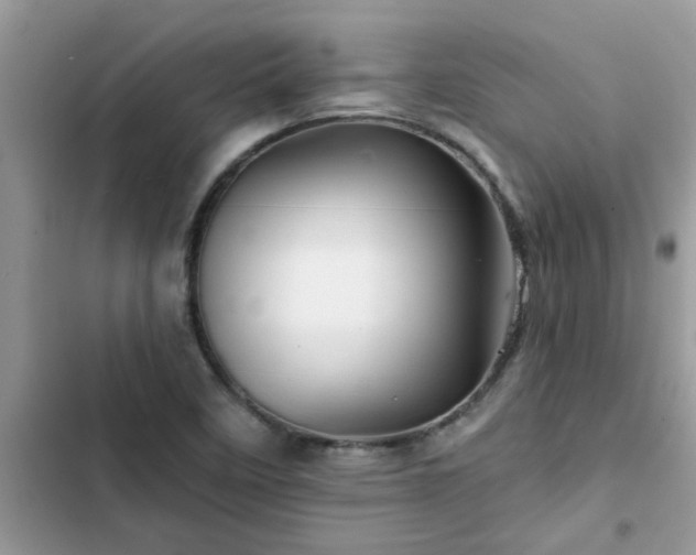 X0000102541458200808151631