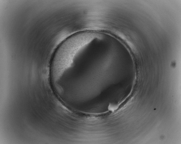 X0000102541459200808151631