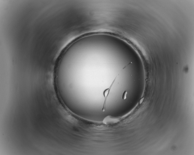 X0000102541460200808151631