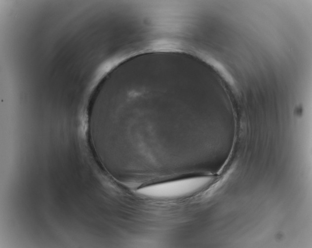 X0000102541461200808151631