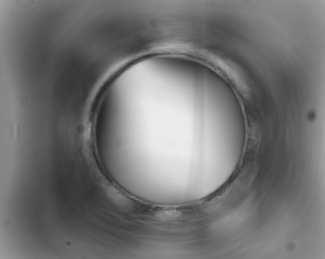 X0000102541462200808151631