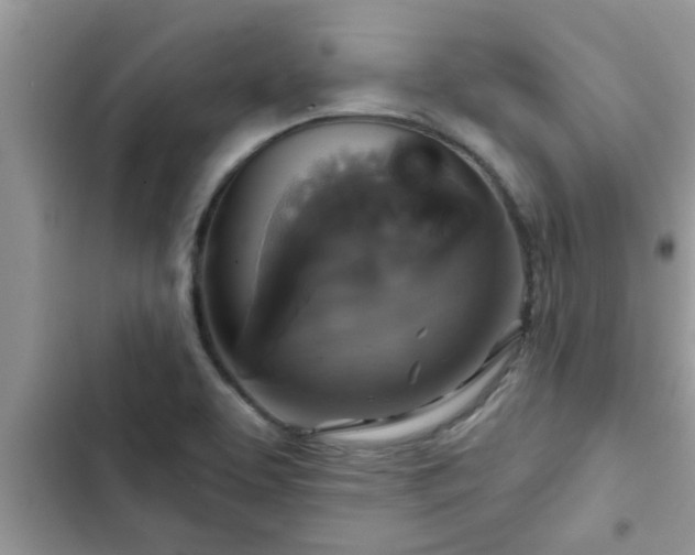 X0000102541463200808151631