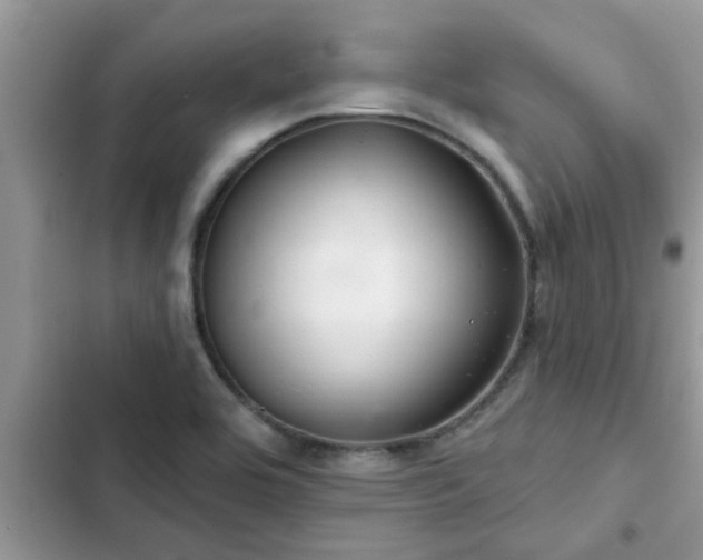 X0000102541464200808151631