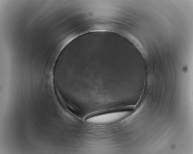 X0000102541465200808151631