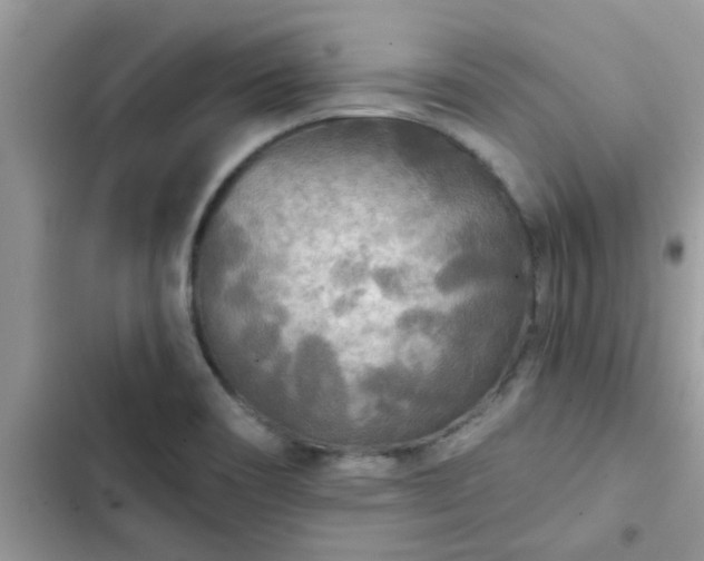 X0000102541466200808151631