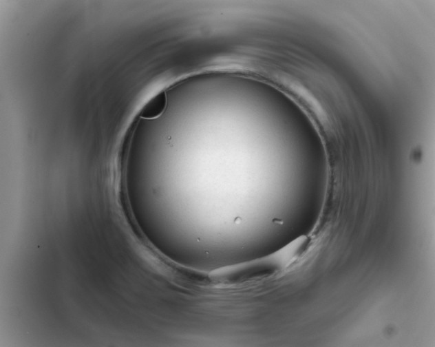 X0000102541467200808151631