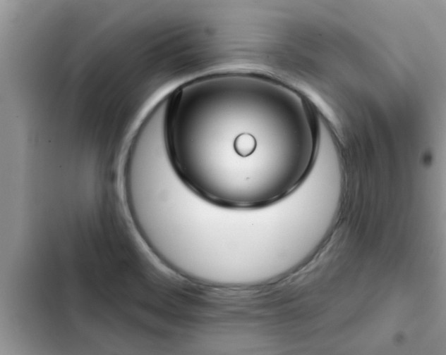 X0000102541468200808151631
