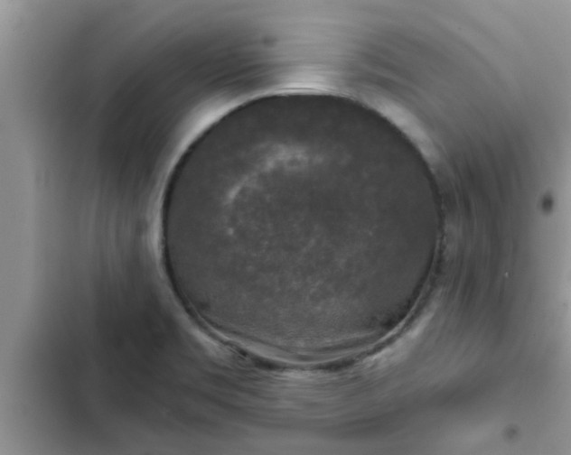 X0000102541469200808151631