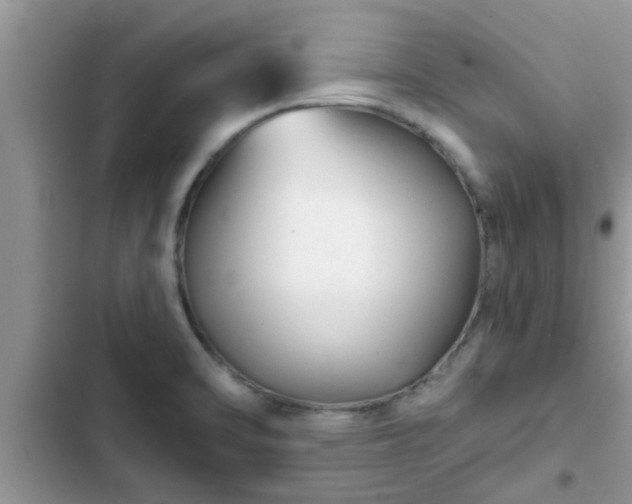 X0000102541470200808151631