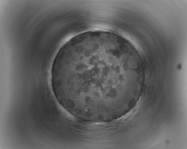 X0000102541471200808151631