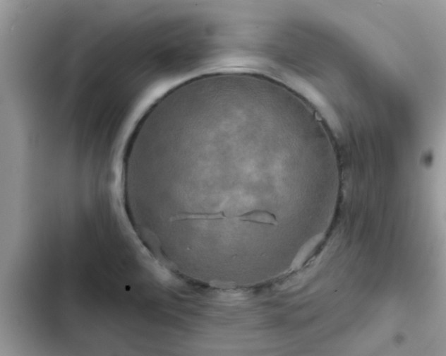 X0000102541472200808151631